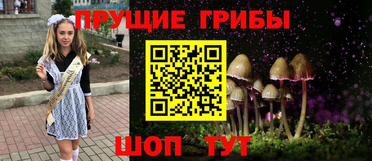 Псилоцибиновые грибы прущие грибы Мурино
